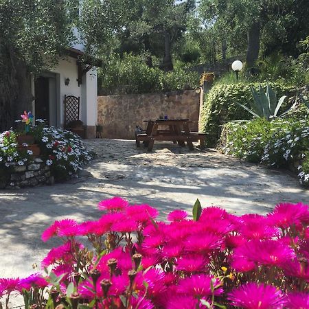 ויאסטה Azienda Agricola B&B Macchiaria מראה חיצוני תמונה