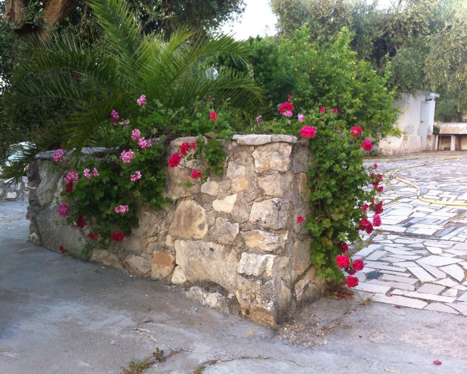 ויאסטה Azienda Agricola B&B Macchiaria מראה חיצוני תמונה