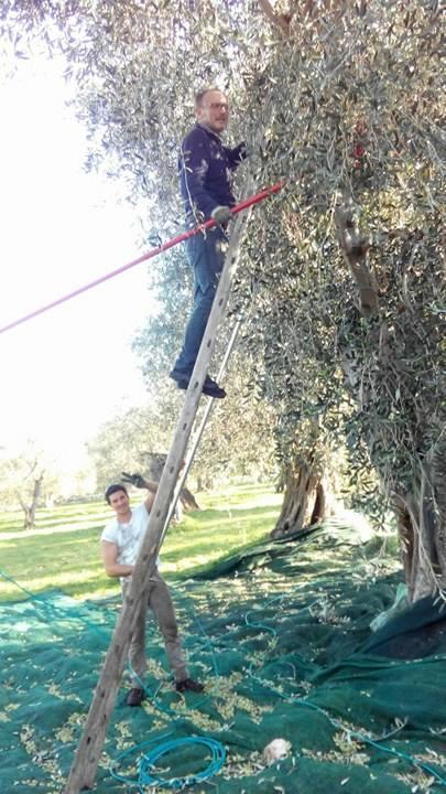 ויאסטה Azienda Agricola B&B Macchiaria מראה חיצוני תמונה