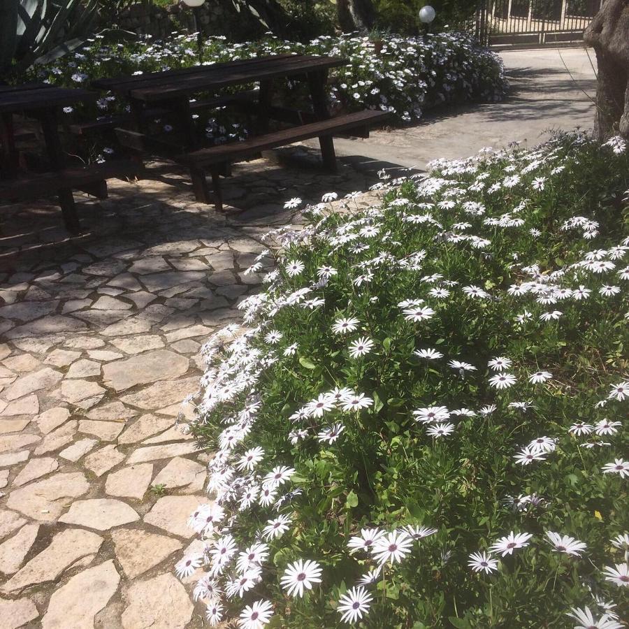 ויאסטה Azienda Agricola B&B Macchiaria מראה חיצוני תמונה